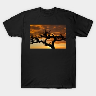 Grape Vine Silhouette T-Shirt